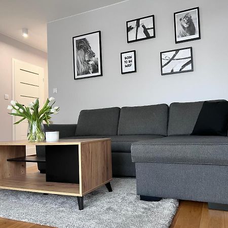 شقة Apartament Jeleniowska Podziemny Parking Taras كيلتشي المظهر الخارجي الصورة